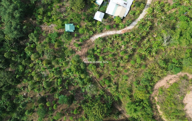 Bán đất nghỉ dưỡng view đẹp tại Khánh Hòa - Hoa hồng cho môi giới: 2%